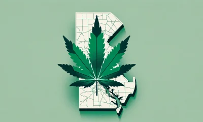 cannabis in delaware