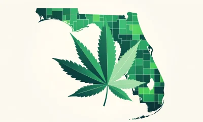 cannabis in florida