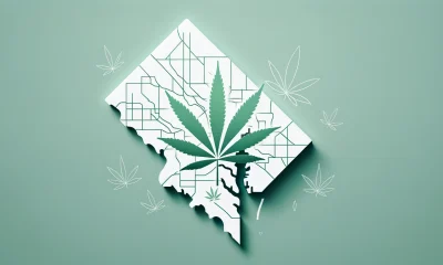 cannabis in the district of columbia