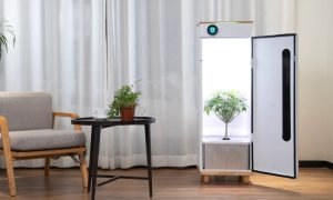 HeyAbby Growbox