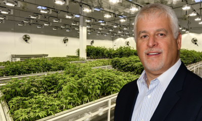 Andy Poticha, CEO of Cannabis Facility Construction - Interview Series