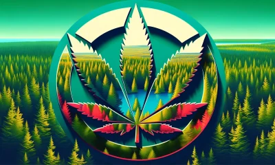 cannabis in new brunswick