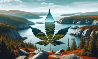 cannabis in newfoundland and alabrador