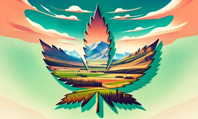 cannabis in alberta