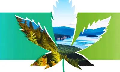 cannabis in british columbia