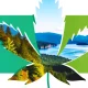 cannabis in british columbia