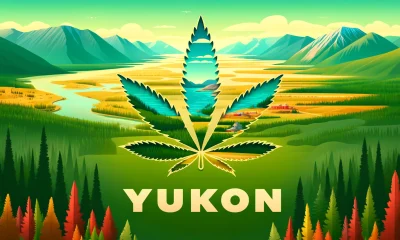 cannabis in yukon