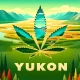 cannabis in yukon