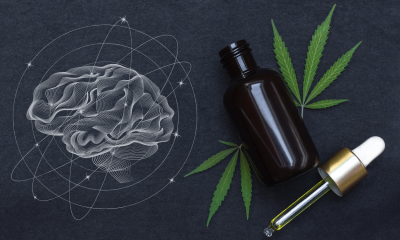 Is Medical Cannabis Beneficial for Neurodegenerative Disorders?