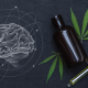 Is Medical Cannabis Beneficial for Neurodegenerative Disorders?