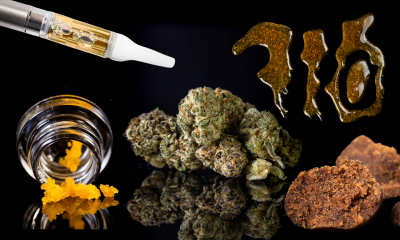 What Makes Cannabis Concentrates So Potent and Popular?