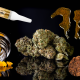 What Makes Cannabis Concentrates So Potent and Popular?