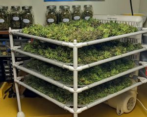 drying rack