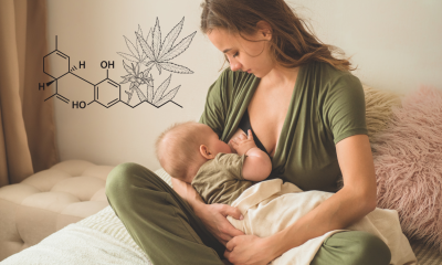 Study finds cannabinoids are transmitted in breast milk.