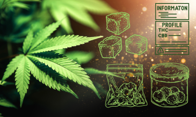 Best Cannabis Storage Solutions
