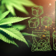 Best Cannabis Storage Solutions