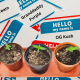 How Cannabis Cultivars (Strains) Get their Names