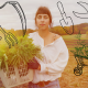 how to harvest cannabis step by step