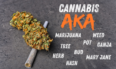 Cannabis is a plant of many names.