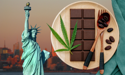 NYS Medical cannabis patient and provider survey gives insights into trends changing away from smoking toward edibles.