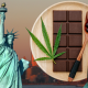 NYS Medical cannabis patient and provider survey gives insights into trends changing away from smoking toward edibles.