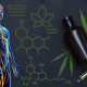 The Endocannabinoid System, What it Is, and How it Works