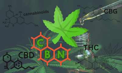 what is cbn and what does it do
