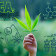 CBGA is considered the 