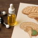 A photorealistic widescreen image showing a dropper bottle of golden CBD oil, a molecular model, and anatomical brain illustrations on a wooden surface, symbolizing CBD’s connection to neuroscience and alcohol dependence research.