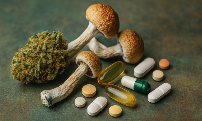 Close-up image showing dried cannabis buds, psilocybin mushrooms, and assorted pharmaceutical pills on a textured green surface.