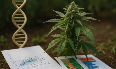 Photorealistic cannabis plant beside DNA model and genetic charts, symbolizing cannabis genomics research in a natural setting