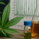 Photorealistic image of cannabis leaves beside laboratory glassware filled with amber and green liquids, with a chromatography graph in the background representing chemical analysis of cannabis compounds.