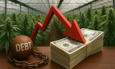 A photorealistic image of a cannabis cultivation facility with rows of plants in the background. In the foreground, a stack of U.S. dollar bills is weighed down by a red downward arrow, next to a heavy iron ball labeled “DEBT,” symbolizing financial strain in the cannabis industry.