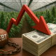 A photorealistic image of a cannabis cultivation facility with rows of plants in the background. In the foreground, a stack of U.S. dollar bills is weighed down by a red downward arrow, next to a heavy iron ball labeled “DEBT,” symbolizing financial strain in the cannabis industry.