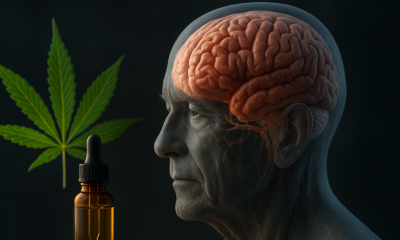 An older man’s photorealistic profile with a visible glowing brain, shown alongside a cannabis leaf and a CBD oil dropper bottle, symbolizing CBD’s potential role in brain health and aging.