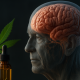 An older man’s photorealistic profile with a visible glowing brain, shown alongside a cannabis leaf and a CBD oil dropper bottle, symbolizing CBD’s potential role in brain health and aging.