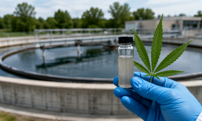 What Cannabis in Wastewater Can Reveal About Local Use