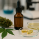 Photorealistic laboratory scene showing cannabis leaves and buds alongside a dropper bottle, capsules, and petri dishes, symbolizing research into cannabis-derived cancer treatments.