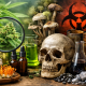 Photorealistic widescreen image contrasting clean cannabis flowers and medicinal mushrooms with lab glassware on one side, and hazardous elements like moldy fungi, toxic barrels, heavy metals, and warning symbols on the other, illustrating the divide between beneficial cannabis science and contamination risks.