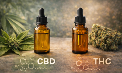 Photorealistic comparison scene showing two amber cannabis oil dropper bottles side by side, with a leafy hemp plant on one side and a dense cannabis flower on the other, symbolizing the contrast between non-intoxicating CBD and intoxicating THC derived from the same plant.