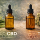 Photorealistic comparison scene showing two amber cannabis oil dropper bottles side by side, with a leafy hemp plant on one side and a dense cannabis flower on the other, symbolizing the contrast between non-intoxicating CBD and intoxicating THC derived from the same plant.