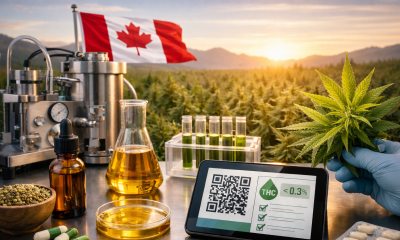 Photorealistic scene of Canadian CBD production with hemp plant, extraction equipment, tincture bottles, capsules, and lab testing tools on a stainless steel table overlooking a cannabis field with a Canadian flag at sunset.