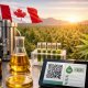 Photorealistic scene of Canadian CBD production with hemp plant, extraction equipment, tincture bottles, capsules, and lab testing tools on a stainless steel table overlooking a cannabis field with a Canadian flag at sunset.