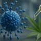 Photorealistic laboratory scene featuring a nano-micelle CBD particle beside a dropper of cannabinoid oil and a cannabis leaf, symbolizing targeted nano-CBD delivery.