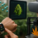 Photorealistic image of advanced cannabis technology showing a smartwatch tracking biometrics, a VR headset user viewing a 3D cannabis model, and a 3D printer creating a cannabis leaf inside a greenhouse.