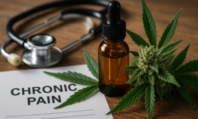 A bottle of medical cannabis oil beside a cannabis bud and leaves, with a stethoscope and chronic pain document on a wooden desk under natural light.