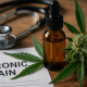 A bottle of medical cannabis oil beside a cannabis bud and leaves, with a stethoscope and chronic pain document on a wooden desk under natural light.