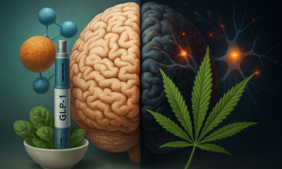 Photorealistic widescreen image showing a human brain split in half—one side light-toned with a GLP-1 injection pen and molecular model symbolizing metabolism, and the other side dark-toned with glowing neural networks and a cannabis leaf representing brain activity and addiction research.