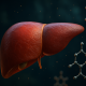 Photorealistic medical visualization of a human liver surrounded by 3D cannabinoid molecular structures, symbolizing liver protection and healing from alcohol-related damage.