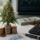 A photorealistic cannabis bud sitting on stacks of coins, surrounded by financial charts, a calculator, pen, and cash, symbolizing cannabis tax revenue and economic impact.